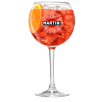 Martini Fiero & tonic